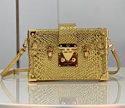 Louis Vuitton PETITE MALLE Gold Bag - N81583 - 20x12.5x6cm  - 1