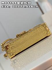 Louis Vuitton PETITE MALLE Gold Bag - N81583 - 20x12.5x6cm  - 5