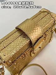 Louis Vuitton PETITE MALLE Gold Bag - N81583 - 20x12.5x6cm  - 4