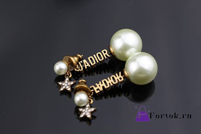 Dior 925 Silver Neddle Jadior earings - 1
