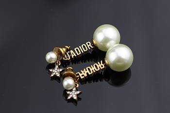 Dior 925 Silver Neddle Jadior earings