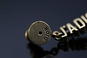 Dior 925 Silver Neddle Jadior earings - 5