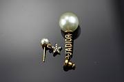 Dior 925 Silver Neddle Jadior earings - 4