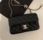 Chanel 23C Lambskin Flap Bag 18x13x7cm - 1