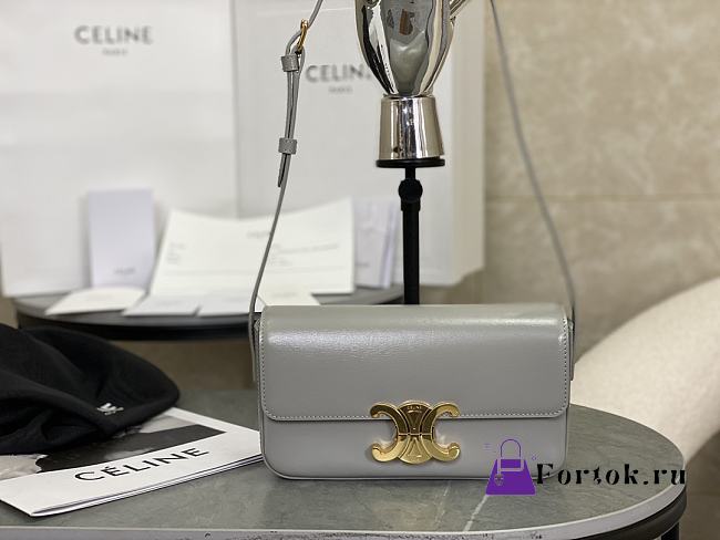 Celine Triomphe Shoulder Bag in Grey 20x10x4cm - 1