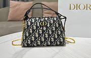 Dior Cowhide Leather Bento Bag 20x13cm - 1