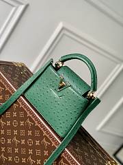 Louis Vuitton Capucines Monogram Flower Pattern Bag in Green 21x14x8 cm - 1