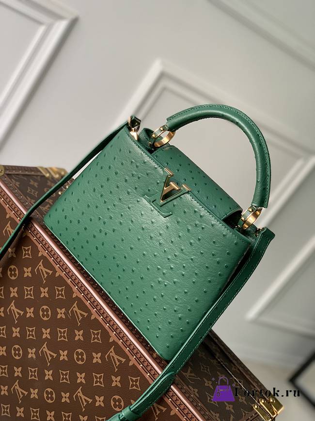 Louis Vuitton Capucines Monogram Flower Pattern Bag in Green 27×18×9 cm - 1