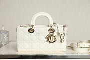 Dior Lady D-Joy Bag in White 26x13.5x5cm - 1