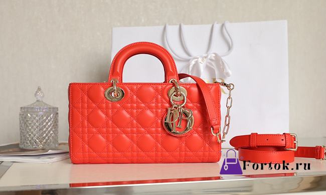 Dior Lady D-Joy Bag in Red 26x13.5x5cm - 1