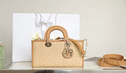 Dior Lady D-Joy Natural Cannage Raffia Bag 26x13.5x5cm - 1