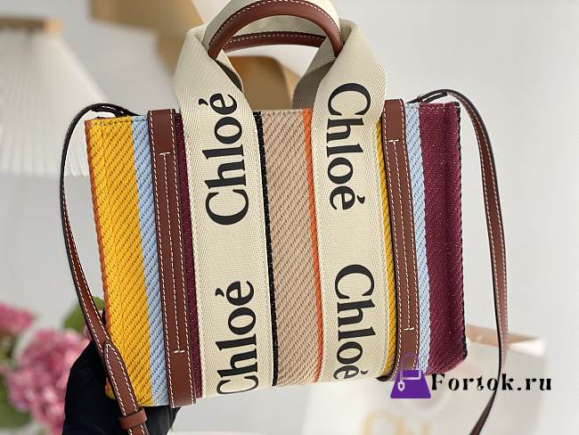Chloe Shopper Woody Small Bag in Multi/Brown 26x20x8cm - 1