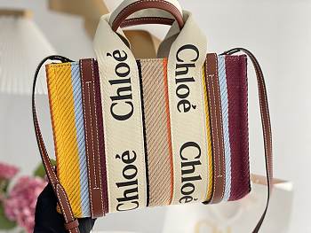 Chloe Shopper Woody Small Bag in Multi/Brown 26x20x8cm