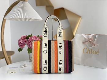 Chloe Shopper Woody Tote Bag Multicolor Brown 45x33x13cm