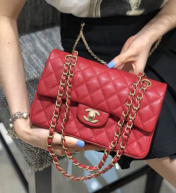 Chanel Classic Flap Red Bag Gold Hardware 23cm