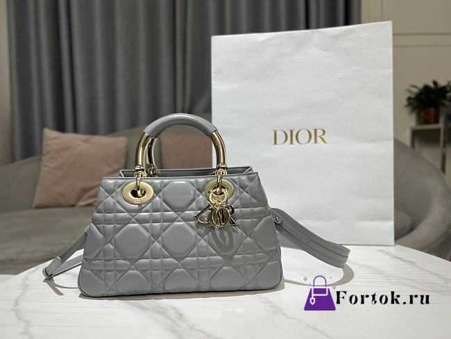 Dior Lady Grey Calfskin Leather Bag 24x18x10cm - 1