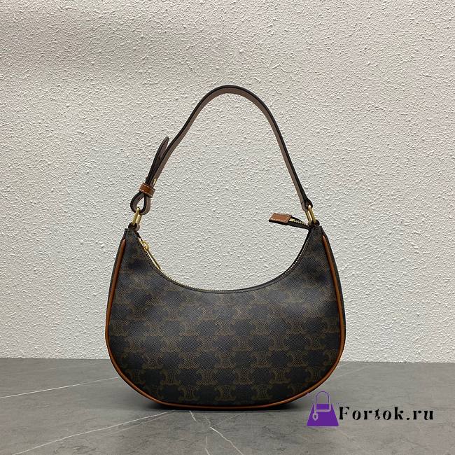 Celine Ava Bag In Triomphe Canvas and Calfskin Tan 24.5x18x7.5cm - 1