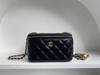 Chanel SS2021 Vanity Case Bag in Black 17x9.5x8cm