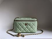 Chanel SS2021 Vanity Case Bag in Light Green 17x9.5x8cm - 1