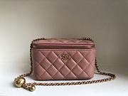 Chanel SS2021 Vanity Case Bag in Pink 17x9.5x8cm - 1