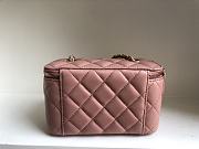 Chanel SS2021 Vanity Case Bag in Pink 17x9.5x8cm - 6