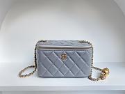 Chanel SS2021 Vanity Case Bag in Grey 17x9.5x8cm - 1