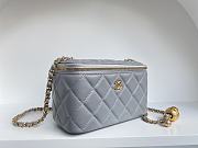 Chanel SS2021 Vanity Case Bag in Grey 17x9.5x8cm - 4
