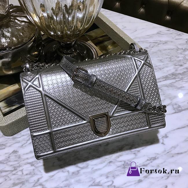 Dior Diorama Silver Bag 25cm - 1