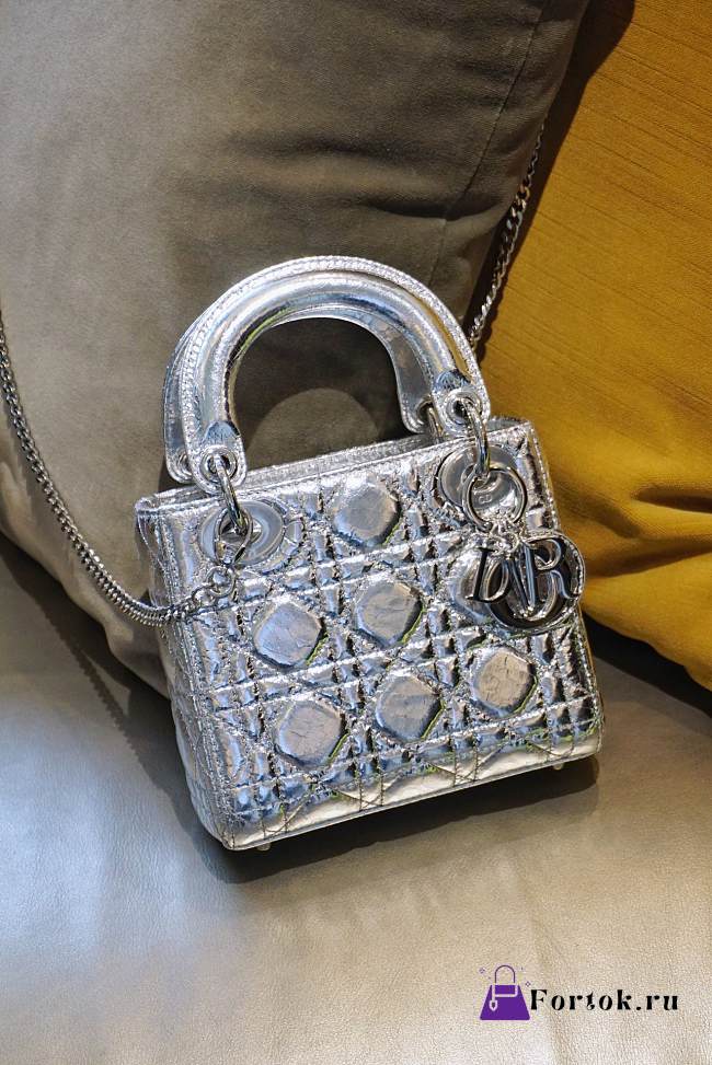 Dior Lady My ABCDior Bag in Silver 17cm - 1