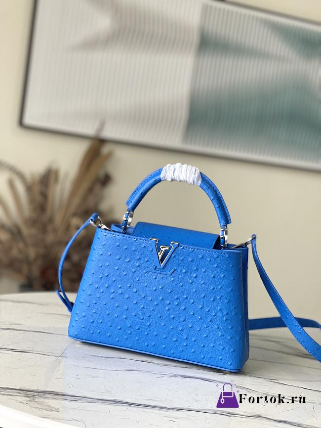 Louis Vuitton Capucines Ostrich Leather Bag in Blue M95393 27x21x10cm - 1