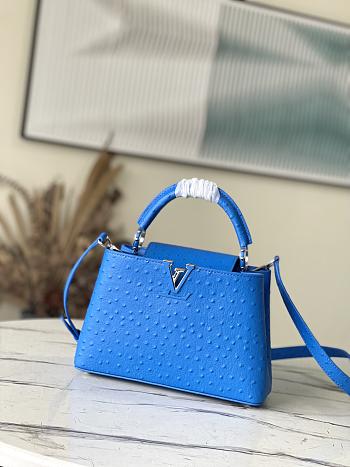 Louis Vuitton Capucines Ostrich Leather Bag in Blue M95393 27x21x10cm