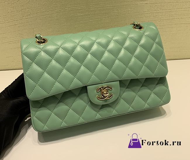 Chanel Classic Flap Bag Lambskin Leather Green 25cm - 1