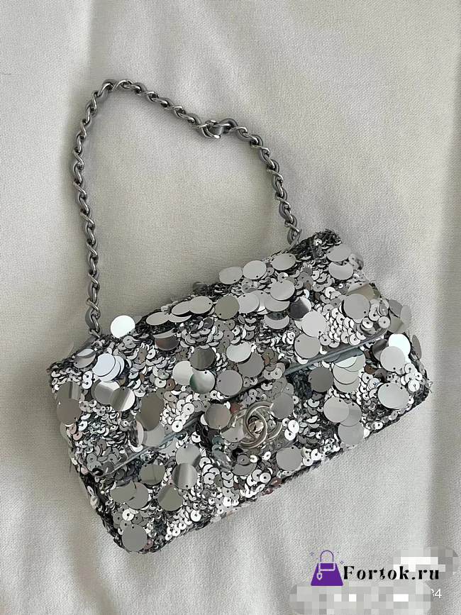 Chanel Silver Sequins Bag 20cm - 1