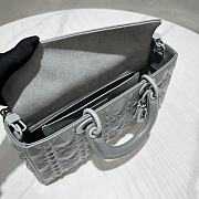 Dior Lady D-Joy Bag in Grey 26x13.5x5cm - 5