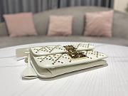 Dior Addict White Lamb Lucky Star Cannage Pattern Bag 21x8x13cm - 6