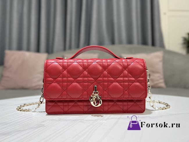 Dior Scarlet Red Cannage Lambskin Bag 21x11.5x4.5cm - 1