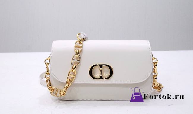 Dior 30 Montaigne Avenue Bag in White 22.5x12.5x6.5cm - 1