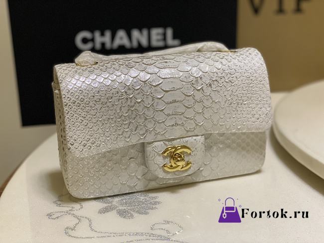 Chanel Flap Bag Python Leather White 20cm - 1