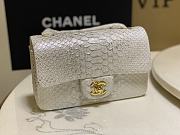 Chanel Flap Bag Python Leather White 20cm - 1