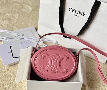 Fortok Celine Oval Cuir Triomphe Bag in Pink 20x15x6cm