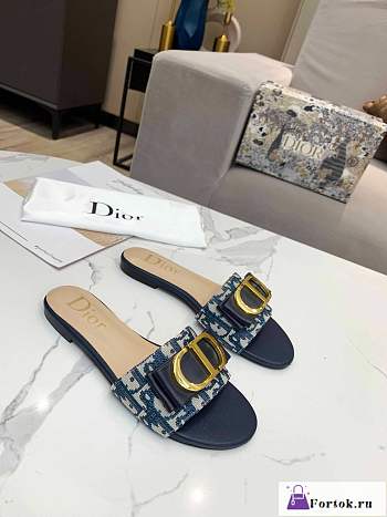 Fortok Dior Slipper in Blue