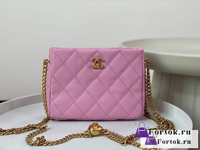 Fortok Chanel 23P Hobo Bag Pink As3830 20x16x8cm - 1