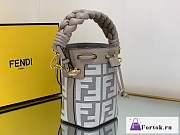 Fortok Fendi Mon Tresor FF Canvas Mini Bag Grey Brown - 3