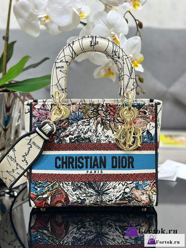 Fortok Dior Lady D-Lite Bag Constellation Embroidery White M0565 24x20x11cm - 1