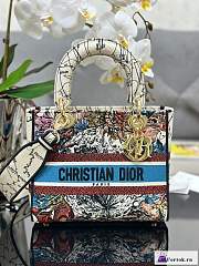 Fortok Dior Lady D-Lite Bag Constellation Embroidery White M0565 24x20x11cm - 1