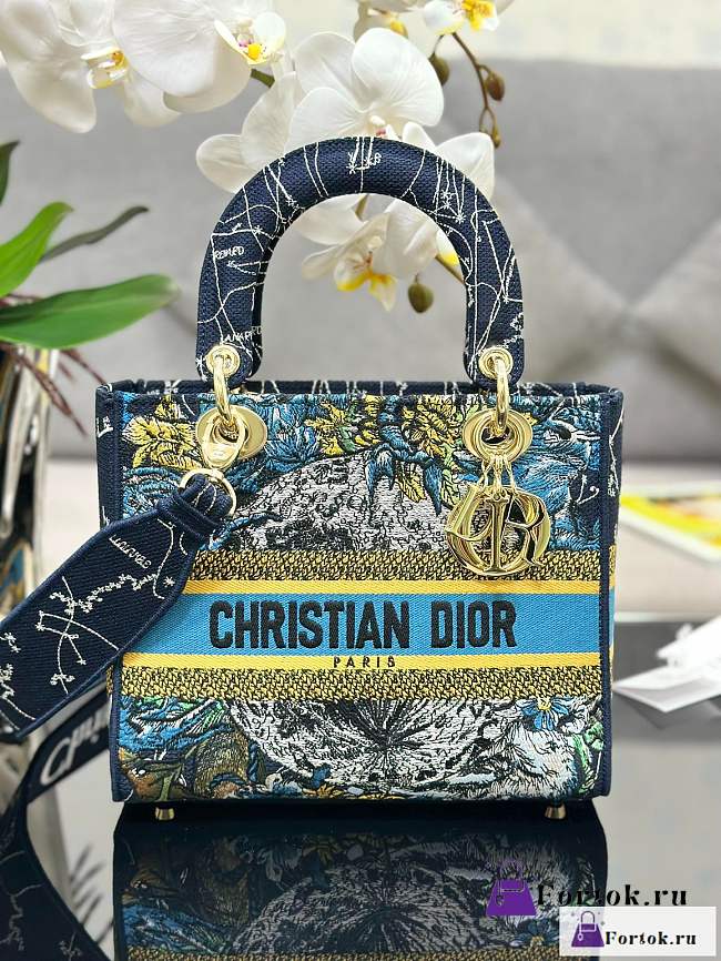 Fortok Dior Lady D-Lite Bag Constellation Embroidery Blue M0565 24x20x11cm - 1