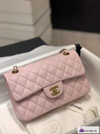 Fortok Chanel Classic Flap Bag Grained Leather Pink 23cm