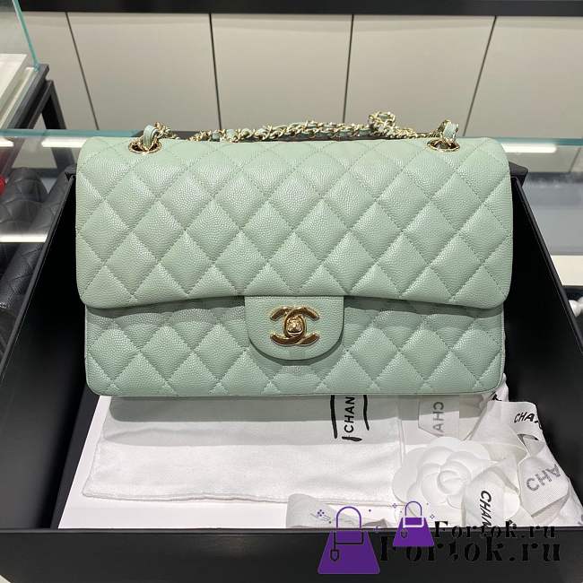Fortok Chanel Classic Flap Bag Light Green 25cm - 1