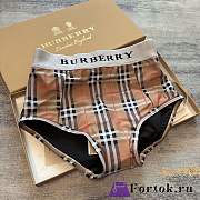 Fortok Burberry Bikini - 5