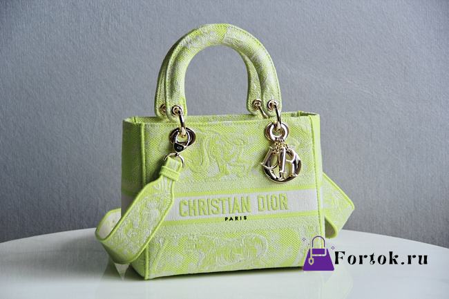 Fortok Dior Lady D-Lite Lime Toile de Jouy Reverse Embroidery Bag  - 1